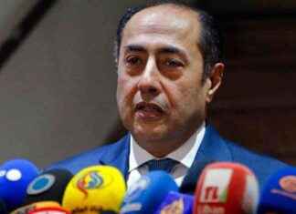 Arab League Postpones Gaza Talks, Says Deputy Secretary-General arab-league-postpones-gaza-talks-says-deputy-secretary-general