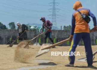 BPS Predicts Increase in Rice Harvest, 2.83 Million Hectares Expected bps-predicts-ncrease-in-rice-harvest-283-million-hectares-expected