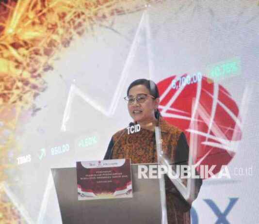 Menkeu Menjamin Tidak Adanya PHK Honorer menkeu-menjamin-tidak-adanya-phk-honorer