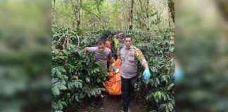 Murder Motive of Woman Found in Aceh Coffee Garden, Husband Seeks Revenge murder-motive-of-woman-found-in-aceh-coffee-garden-husband-seeks-revenge