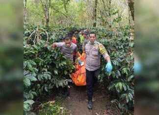 Murder Motive of Woman Found in Aceh Coffee Garden, Husband Seeks Revenge murder-motive-of-woman-found-in-aceh-coffee-garden-husband-seeks-revenge