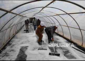 Indicator of Campus Success: Collaboration Elements and Impact | Republika Online ndicator-of-campus-success-collaboration-elements-and-mpact-republika-online