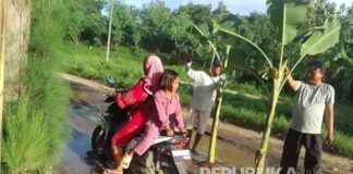 Pantura Road Complaints: Beware of Potholes, Big Vehicles | Republika Online pantura-road-complaints-beware-of-potholes-big-vehicles-republika-online