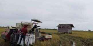 Preventing Agricultural Land Conversion: Penajam District Drafts Regulation | Republika Online preventing-agricultural-land-conversion-penajam-district-drafts-regulation-republika-online