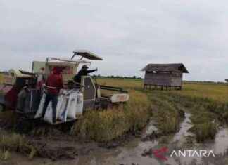 Preventing Agricultural Land Conversion: Penajam District Drafts Regulation | Republika Online preventing-agricultural-land-conversion-penajam-district-drafts-regulation-republika-online