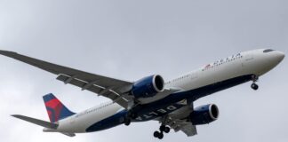 Reunited: How Delta Flight DL275 Families Were Diverted at LAX Delta Airlines, Delta Flight DL275, Flight DL275, Flight Diversions, Travel News, Airline Policies, LAX Diversion, Delta Flight DL275 Diverted LAX