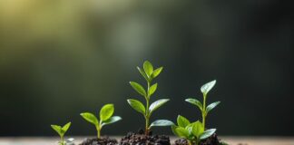 Sustainable Investing: Merging Profit with Environmental Consciousness Sustainable Investing: Combining Profit with Environmental Awareness